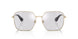 1109AI - Gold - Grigio Transition