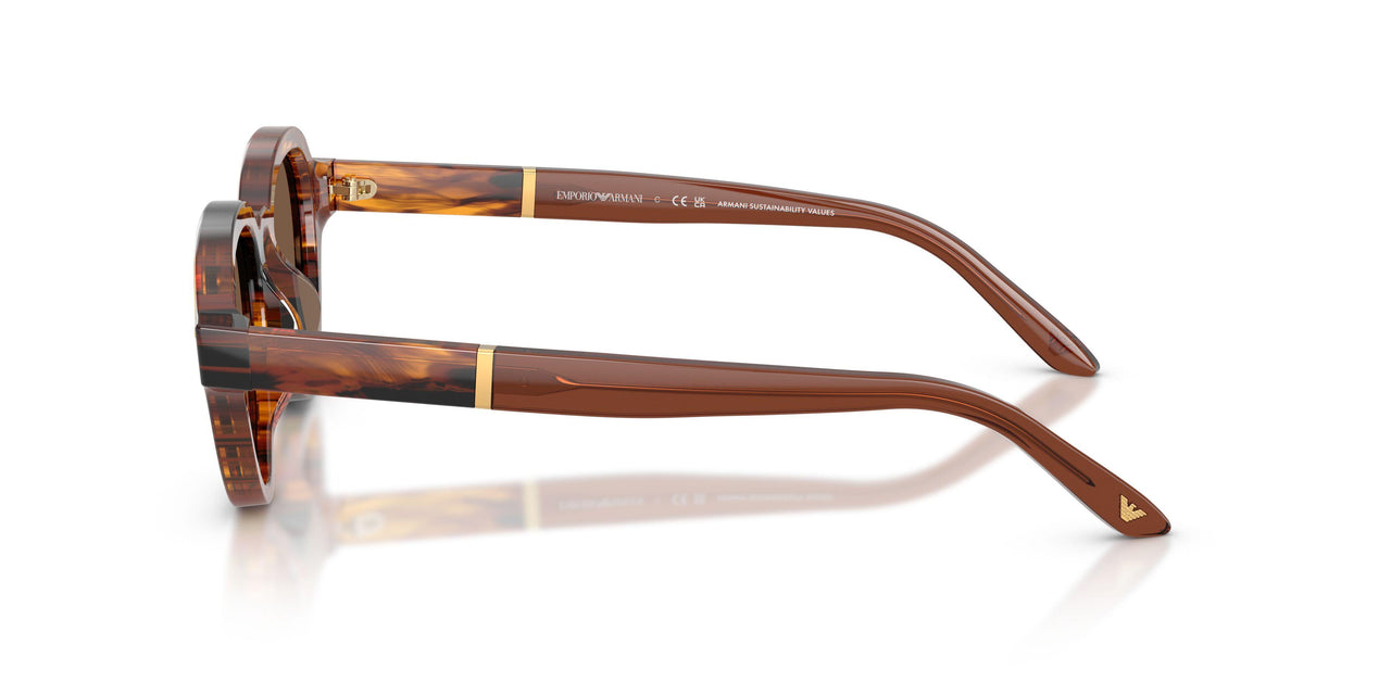633973 - Brown - Brown