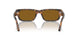121033 - Brown - Brown
