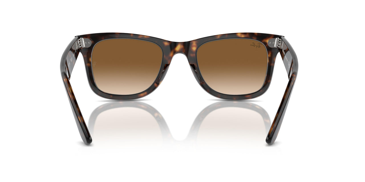 902/51 - Havana - Crystal Brown Gradient