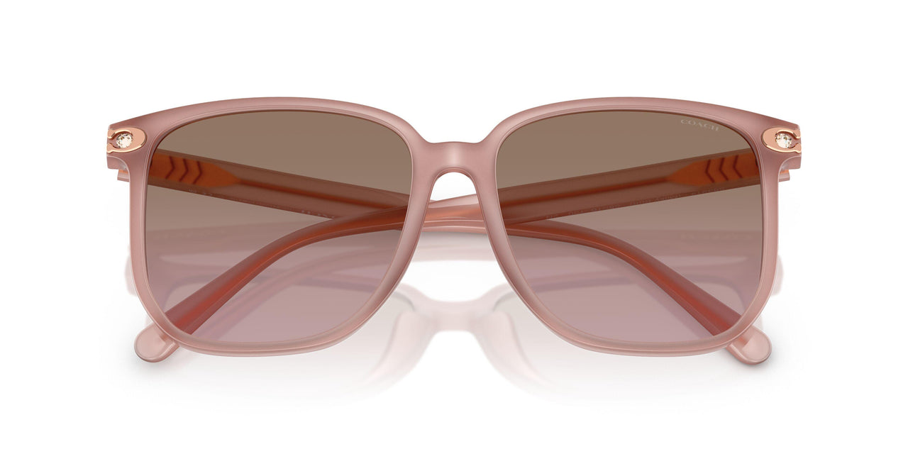 583914 - Pink - Brown Rose Gradient