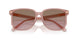 583914 - Pink - Brown Rose Gradient