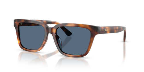 Polo 4247U Sunglasses