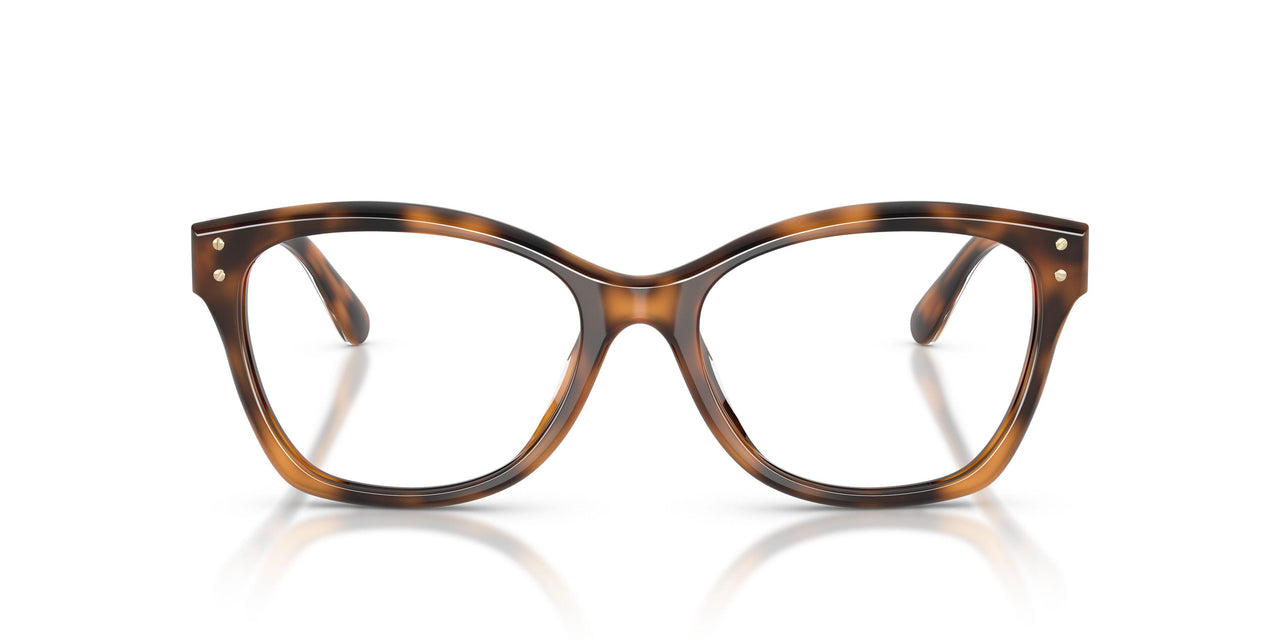 6089 - Tortoise