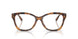 6089 - Tortoise