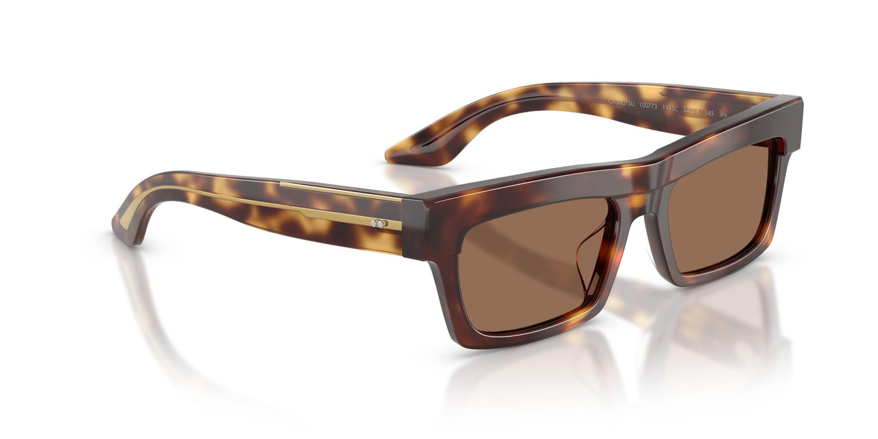 100773 - Tortoise - Brown