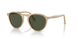 116931 - Brown - Green