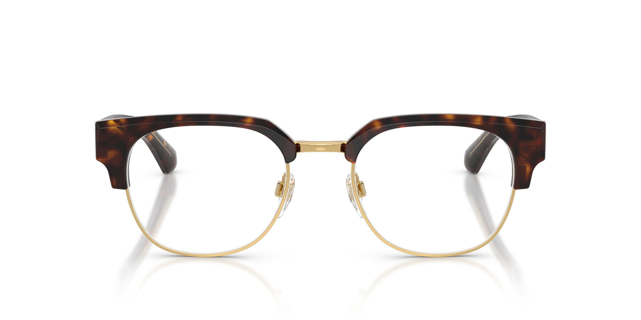 3002 - Brown