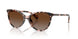 6058T5 - Pink - Brown Gradient Polar