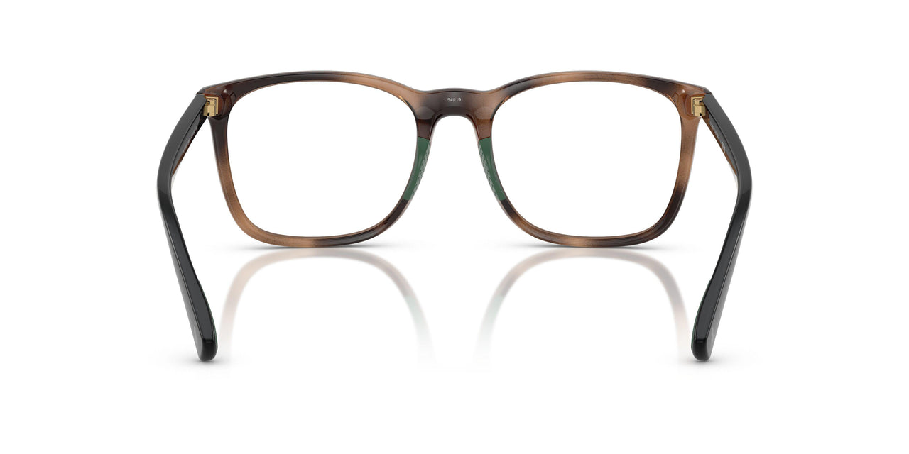 5974 - Tortoise