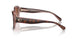 574413 - Tortoise - Brown Pink Gradient