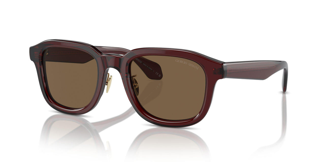 606273 - Brown - Dark Brown