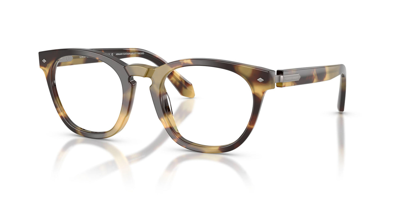6301 - Tortoise