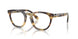 6301 - Tortoise