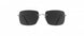 6560 - Ruthenium Black - SLM POL Grey