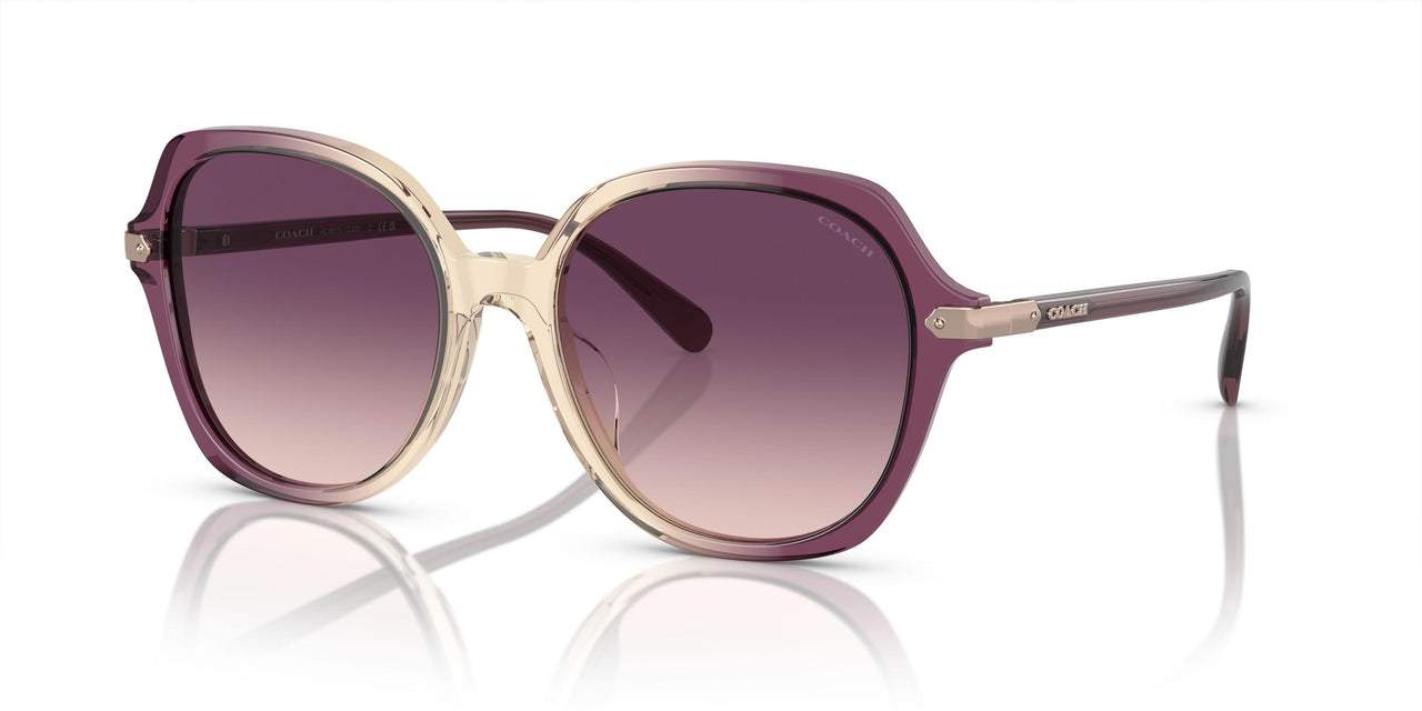 57737W - Multicolor - Purple Gradient