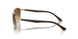 900951 - Brown - Clear Gradient Brown