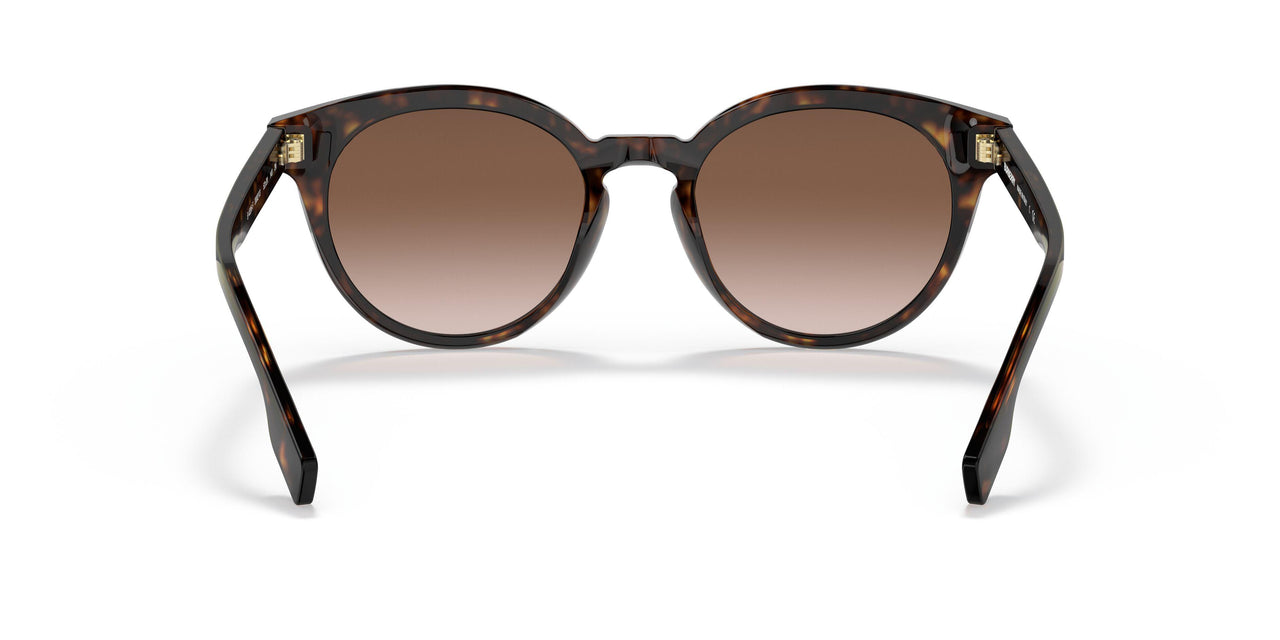 300213 - Havana - Brown Gradient