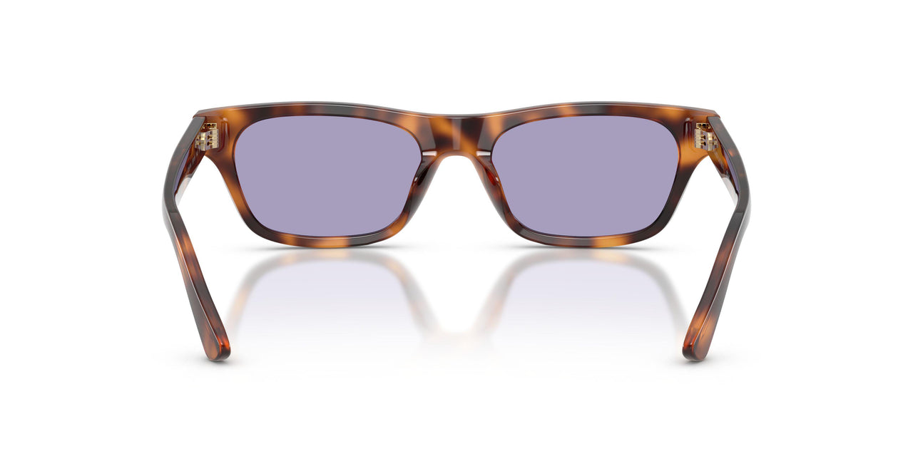 63551A - Tortoise - Lilac