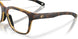 803202 - Tortoise