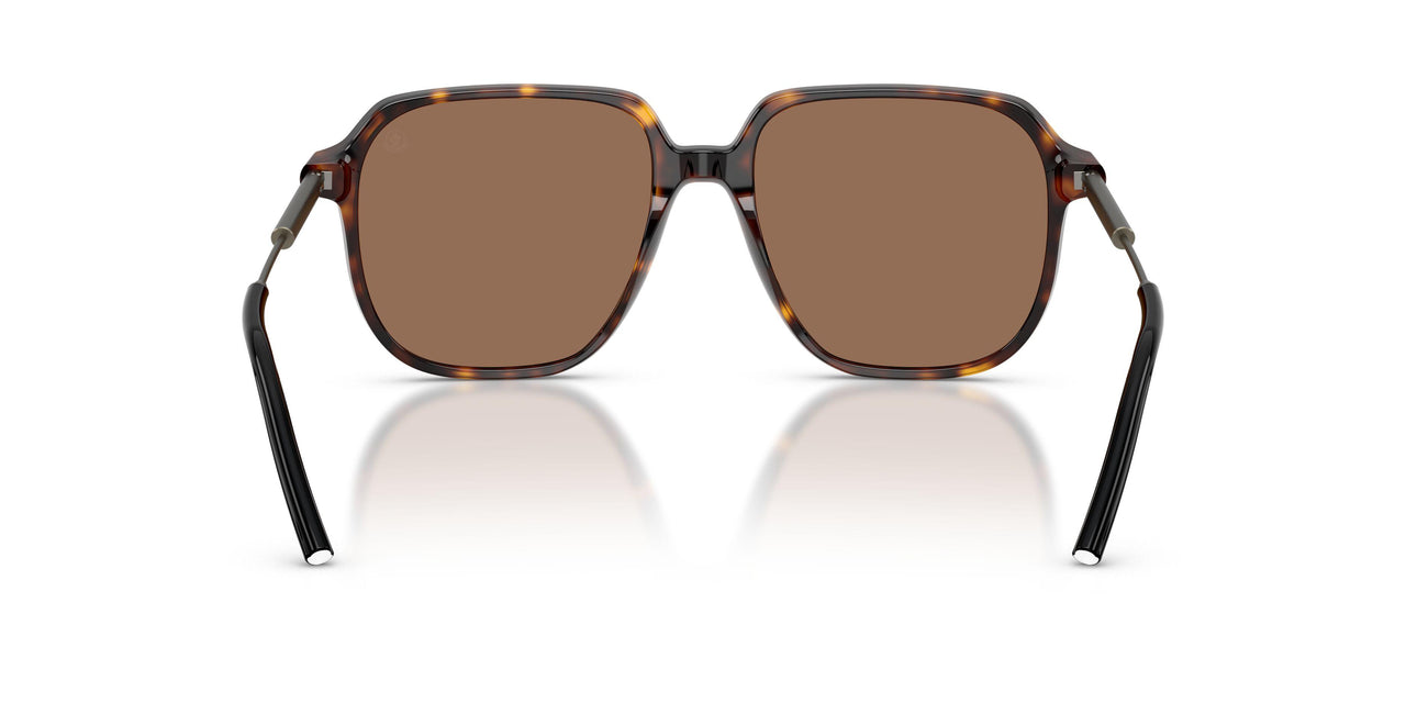 300273 - Tortoise - Brown Solid