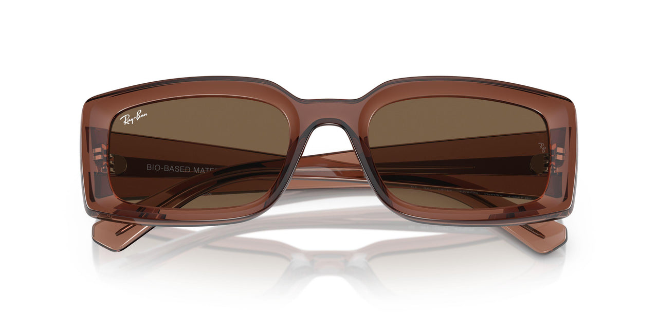 667873 - Brown - Dark Brown