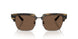 306373 - Tortoise - Brown