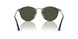 24/31 - Havana - Green