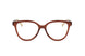 C3 - BROWN