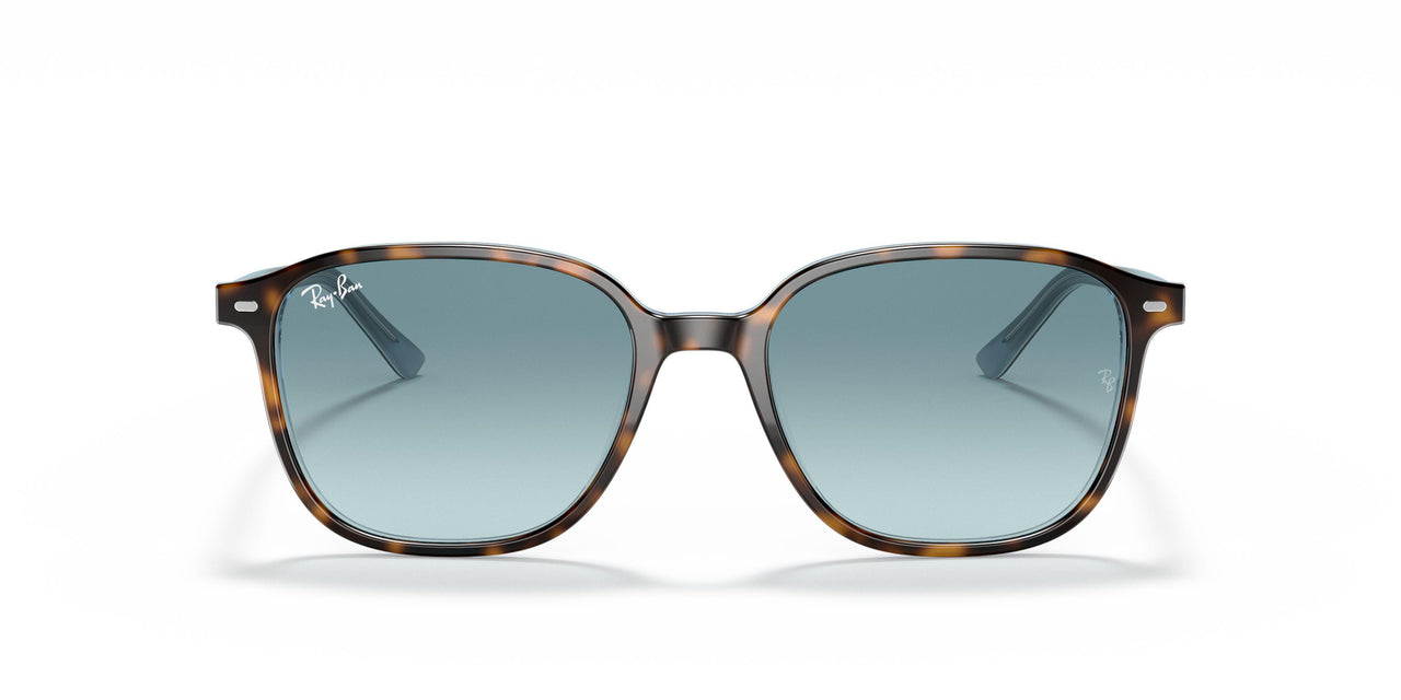 13163M - Brown - Blue