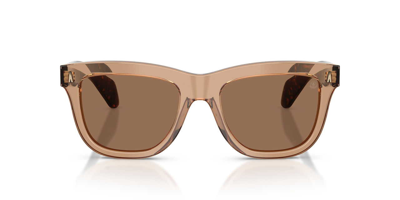 303773 - Brown - Dark Brown