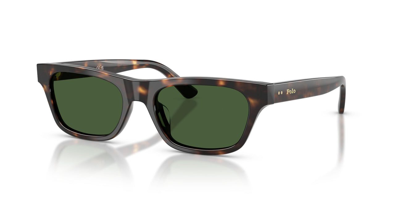 500371 - Tortoise - Dark Green