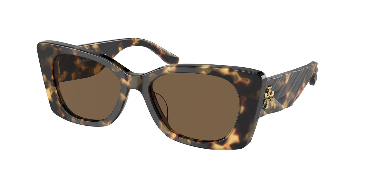 147473 - Tortoise - Solid Brown