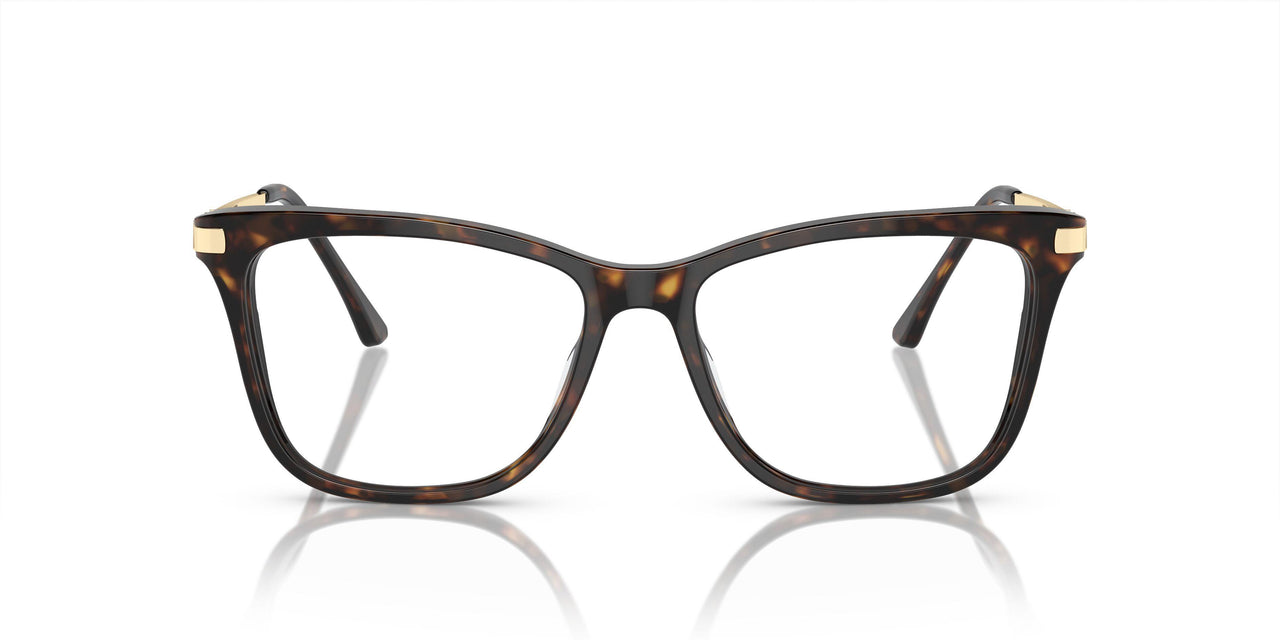 C543 - Tortoise