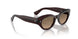 1817GN - Brown - Sandstone Gradient Polarized
