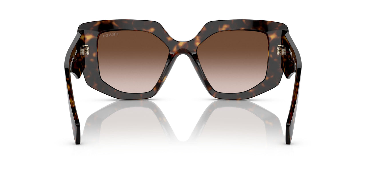 2AU6S1 - Havana - Brown Gradient