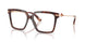 3222 - Tortoise