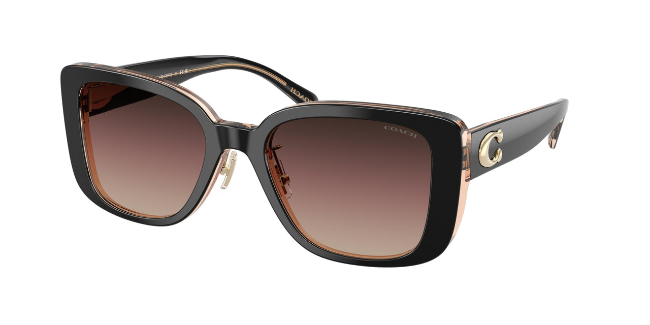Coach Cd472 8352 Sunglasses