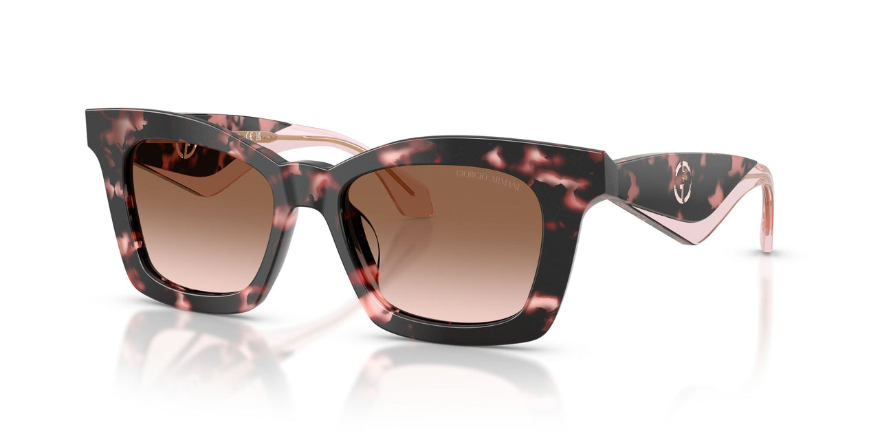 623013 - Tortoise - Brown Gradient