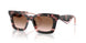 623013 - Tortoise - Brown Gradient