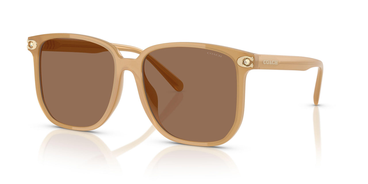585473 - Brown - Brown Solid