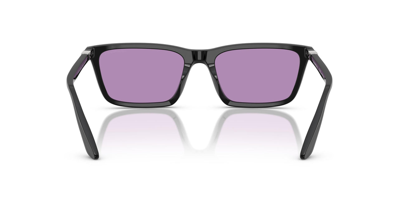 501769 - Black - Purple