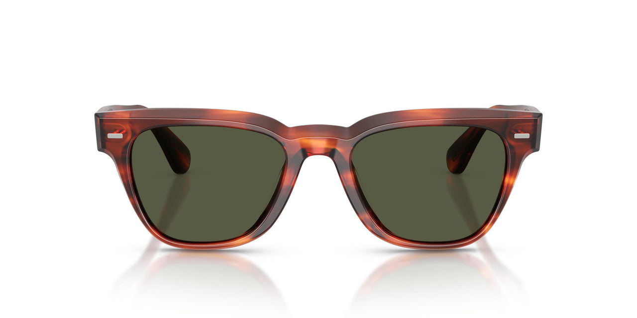 179952 - Tortoise - G-15