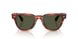 179952 - Tortoise - G-15