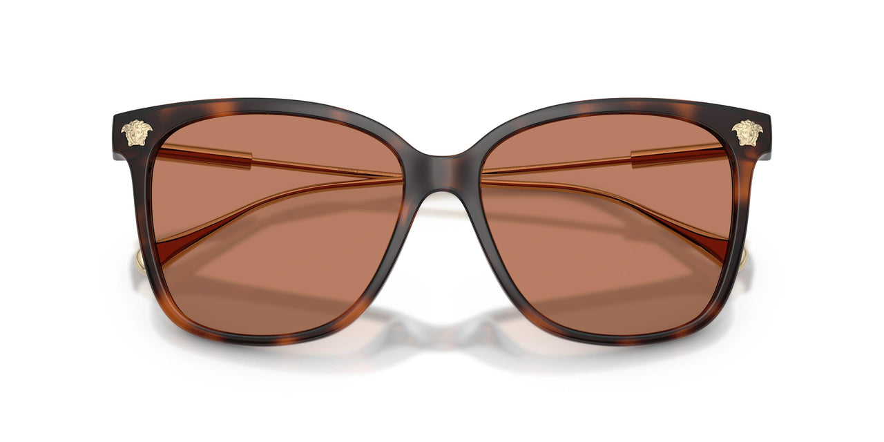 108/73 - Tortoise - Brown