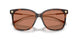 108/73 - Tortoise - Brown