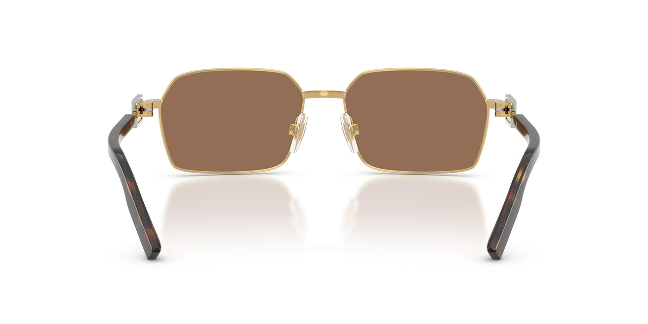 02/73 - Gold - Dark Brown