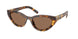 14L60M - Tortoise - Dark Brown