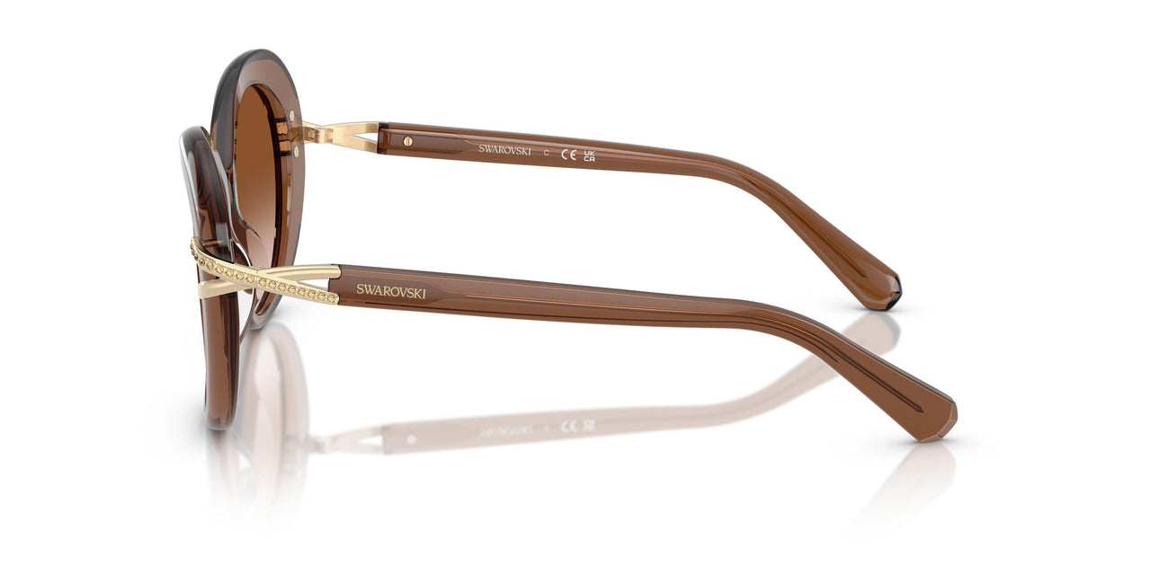 106713 - Brown - Gradient Brown