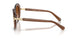 106713 - Brown - Gradient Brown